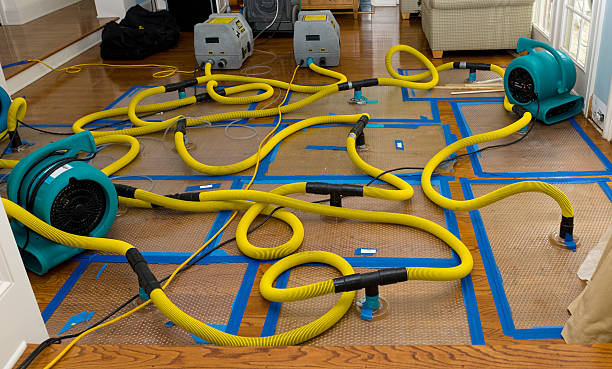Professional Structural Drying And Dehumidification technician working in Harvey, MI